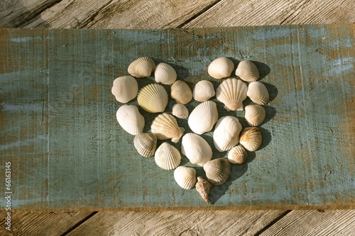 Muscheln in Herzform