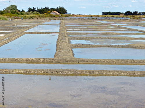 labyrinthe marais salant
