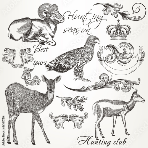 Collection of vector hand drawn animals and flourishes in vintag