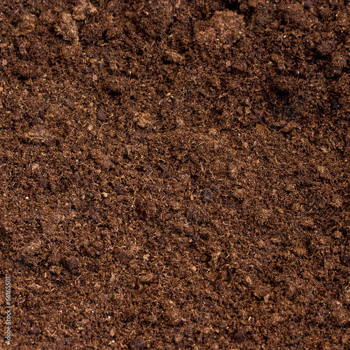 peat moss soil