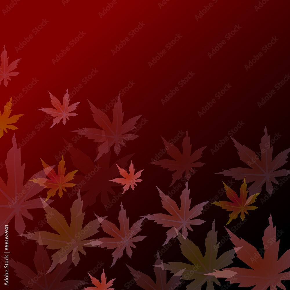 もみじ 紅葉 背景 もみじ 紅葉 背景