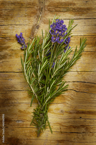 Rosmarinus officinalis y Lavandula