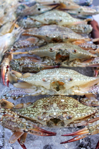 Fresh crab on ice