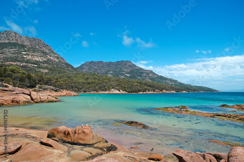 Tasmanian Coast, Tasmania Australia  photo