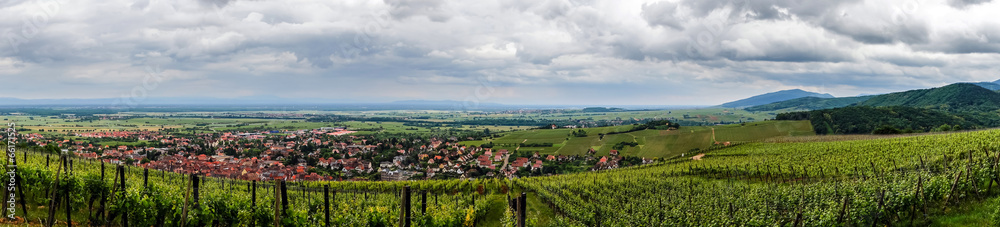 Alsace view from the top of hill