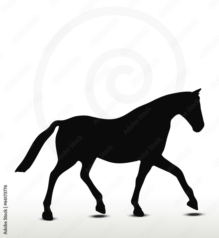 horse silhouette in Parade Walk position