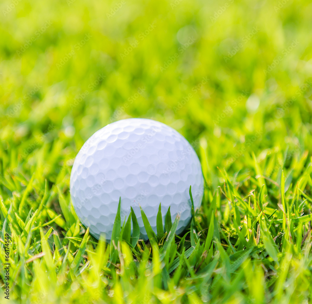 Golf ball on green grass