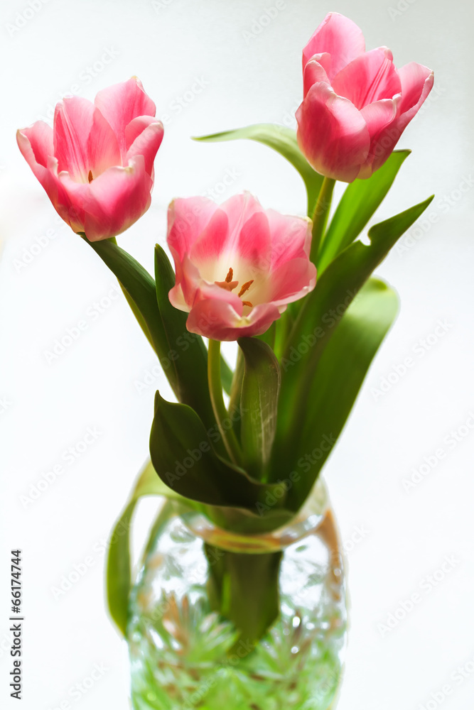 Bouquet of pink tulips in faceted crystal vase
