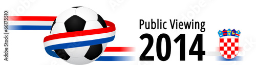 Public Viewing 2014
