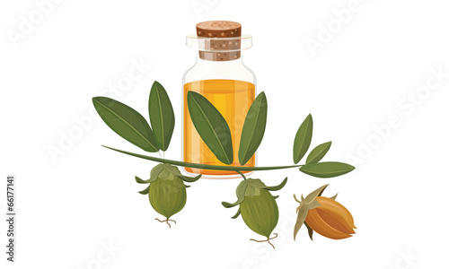 jojoba oil