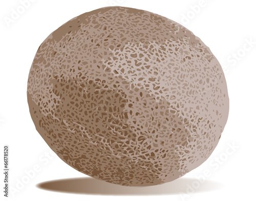 Persian Melon
