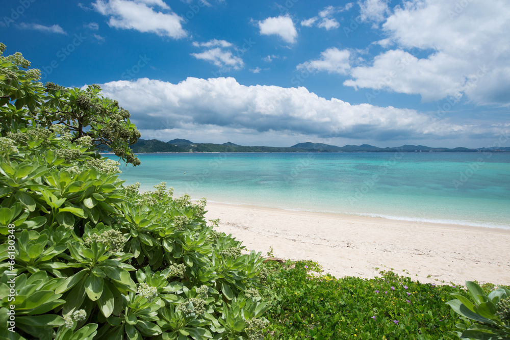 沖縄の海　21世紀の森ビーチ