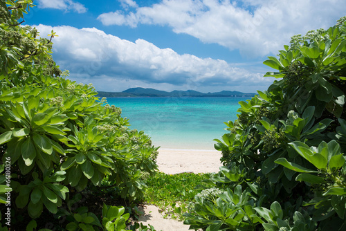 沖縄の海 21世紀の森ビーチ