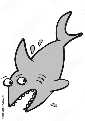 Shark, vector illustration, isolated picture