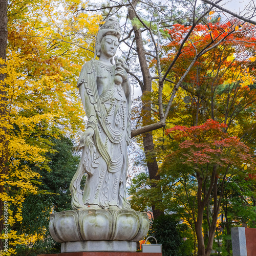 The Goddess of mercy at Zojoji Temple in Kyoto