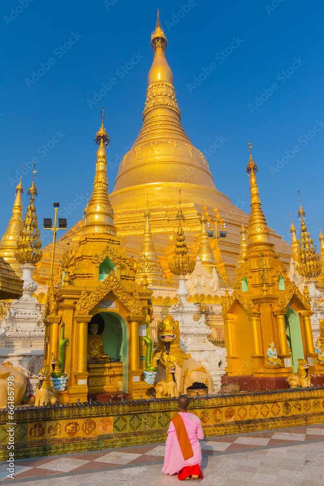 Fototapeta premium Young Nun praying at the Shwedagon Paya