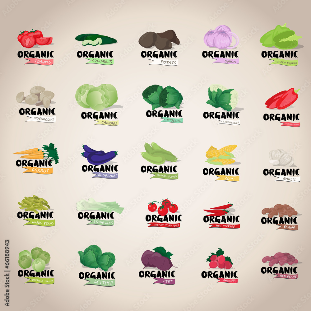 Vegetables Icons Set - Isolated On Gray Background