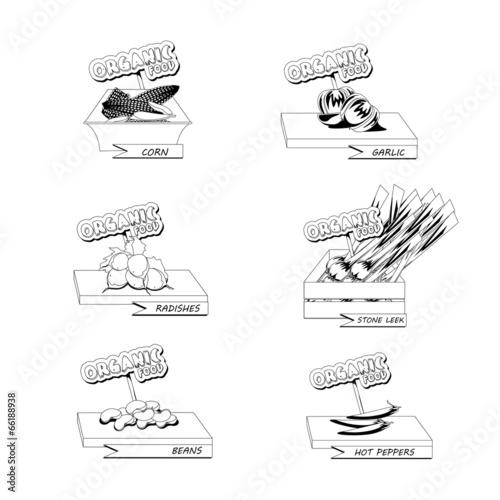 Vegetables Set - Isolated On White Background