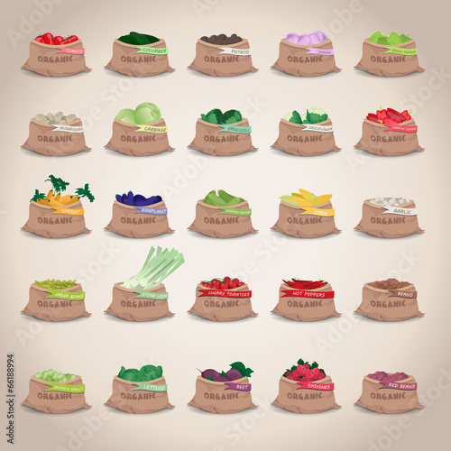 Vegetables In Burlap Sack Set - Isolated On Gray