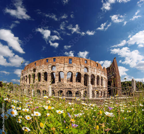 Photography Colosseum during spring time in Rome, Italy