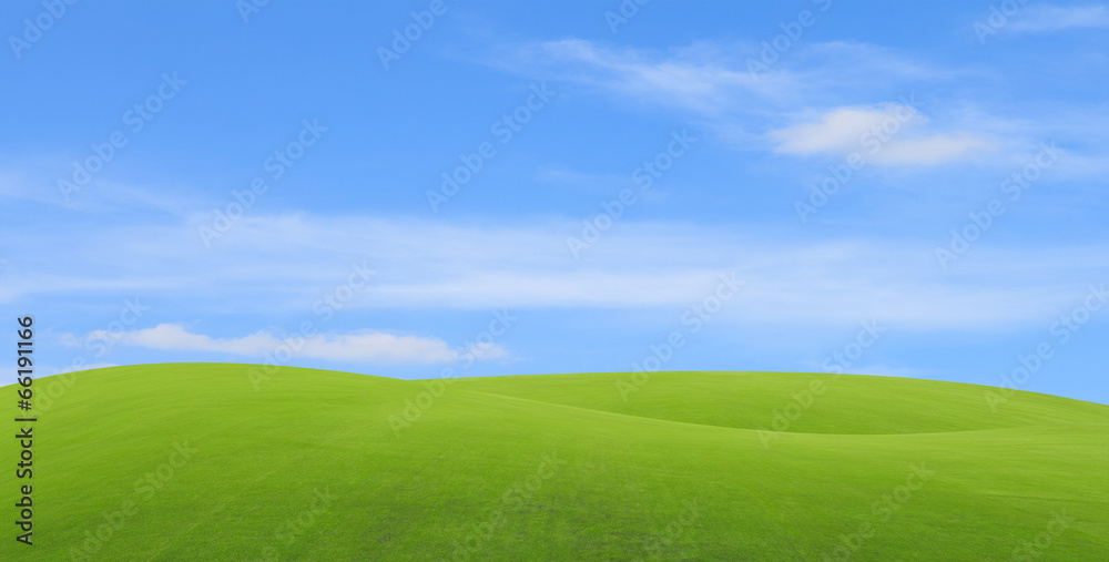 Green field with blue sky Green field with blue sky