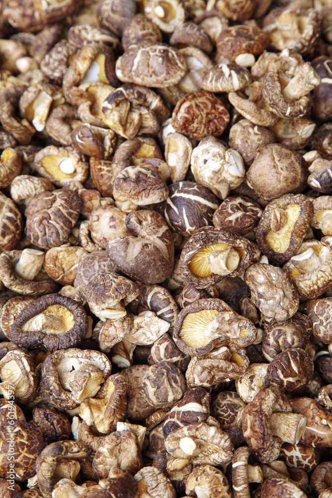 close up many chinese dry mushroom in thai market close up many chinese dry mushroom in thai market