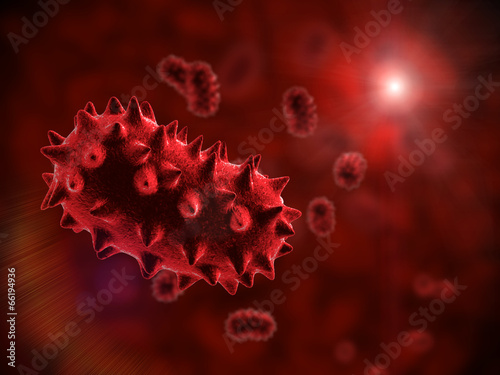 Fotografi Bacteries