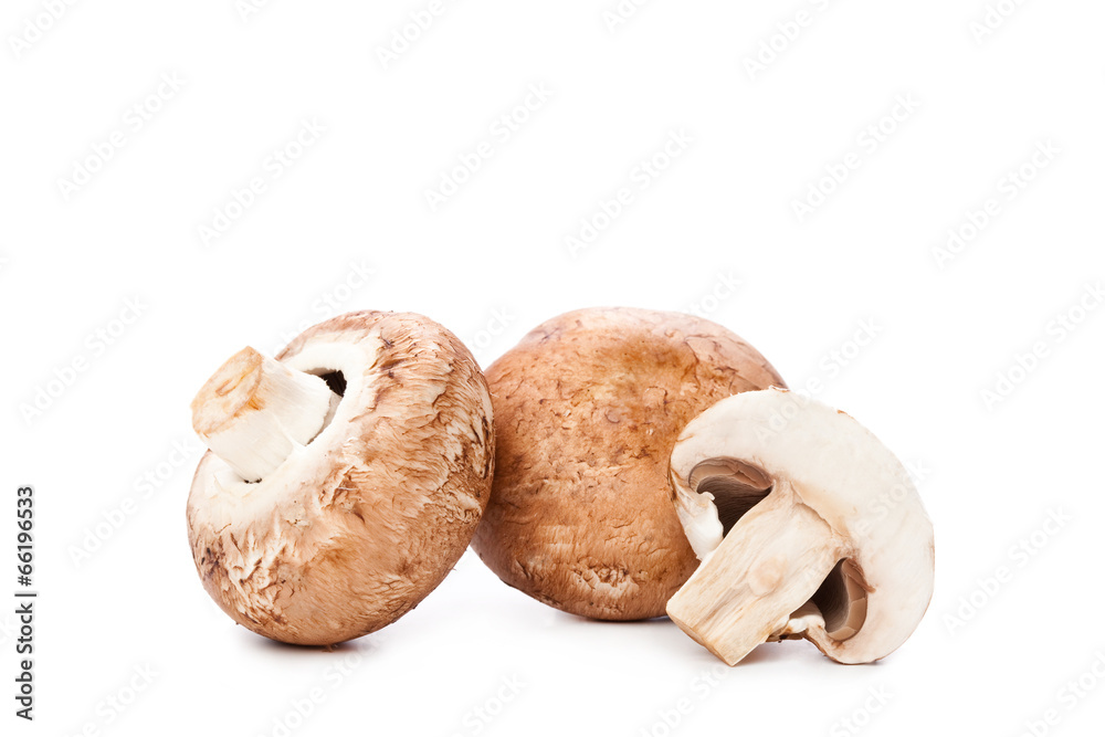 brown mushrooms isolated on white background brown mushrooms isolated on white background