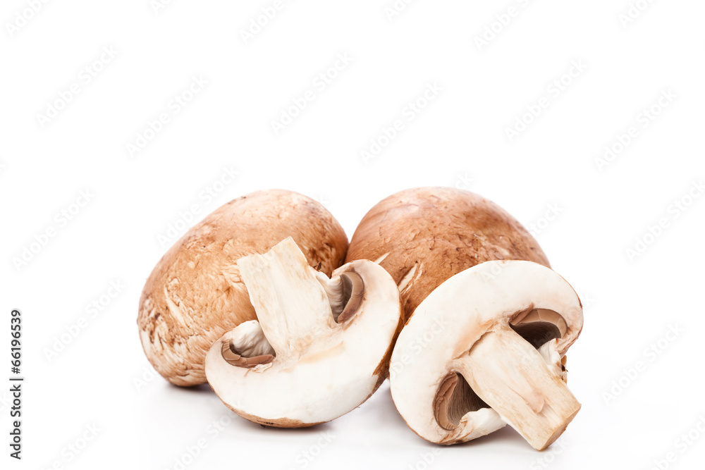 Fototapeta premium mushroom on white
