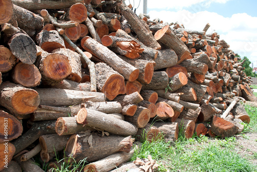Firewood stack. Staple of biomass, arranged firewood for Longan photo
