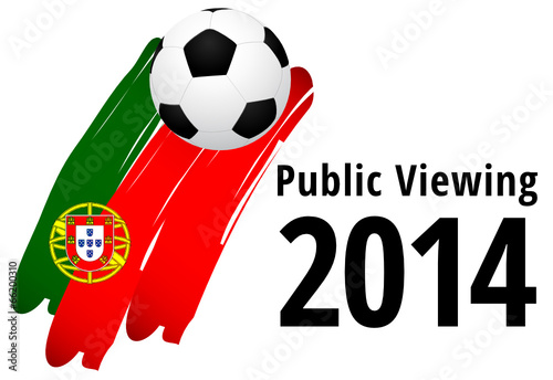 Public Viewing 2014