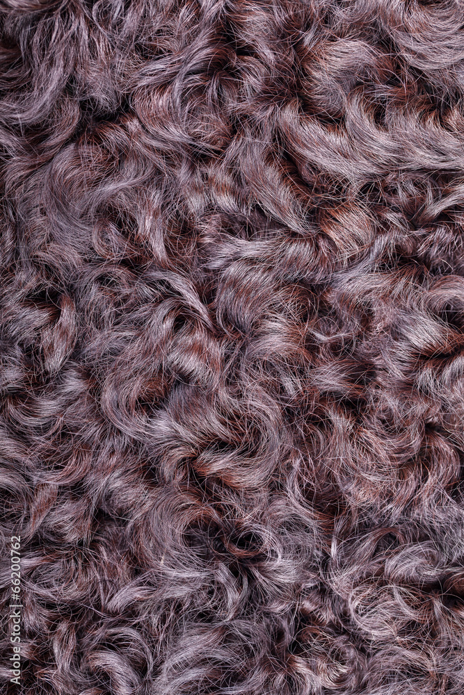 Karakul fur texture Karakul fur texture