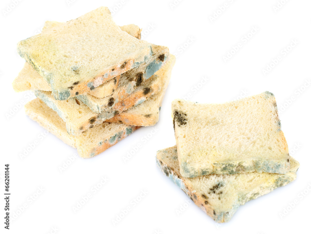 Mouldy bread, isolated on white Mouldy bread, isolated on white