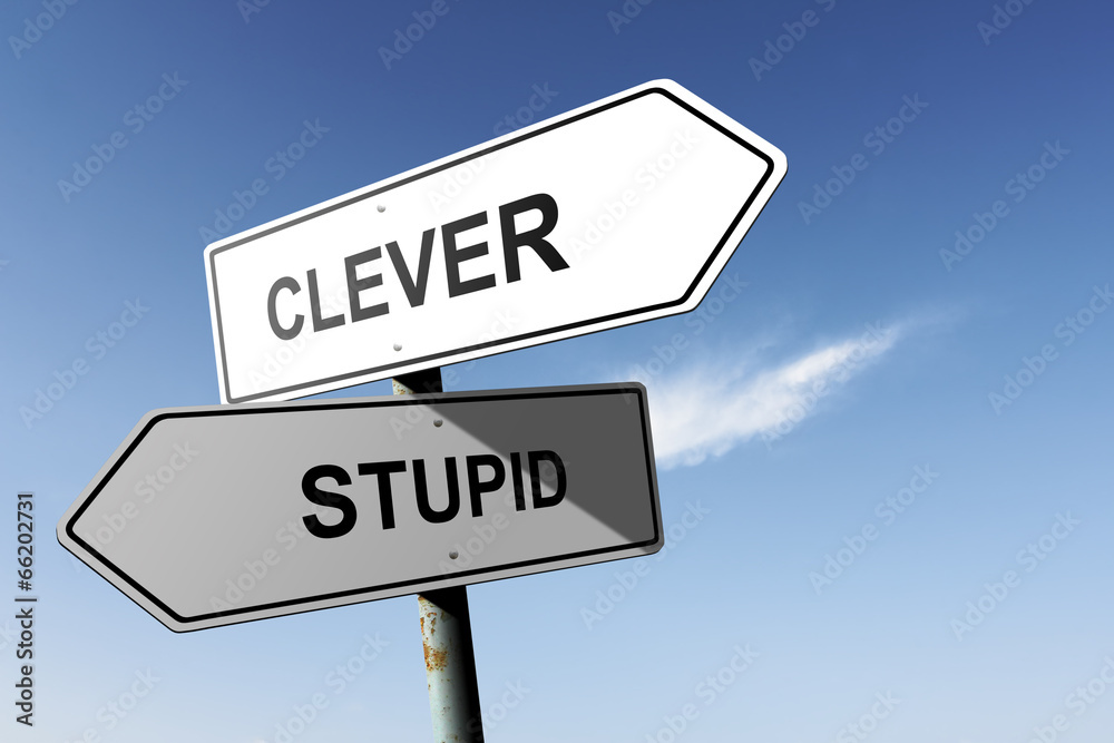 Clever and Stupid directions. Opposite traffic sign. Clever and Stupid directions. Opposite traffic sign.