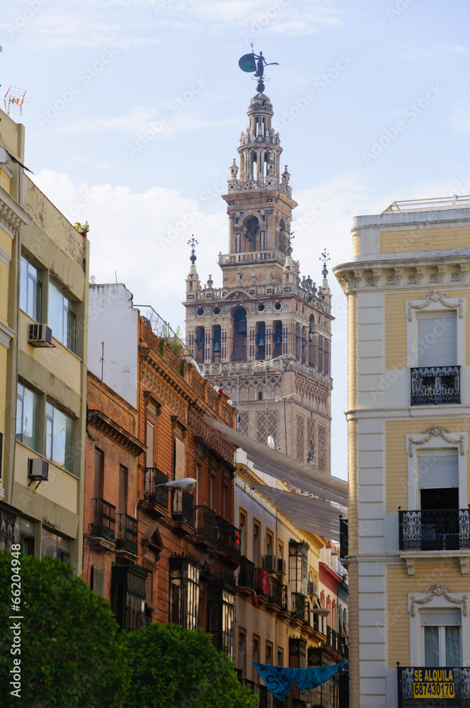 Obraz premium Old city and the cathedral in Sevilla, Spain