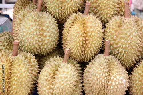 Durian of local fruits in Thailand.
