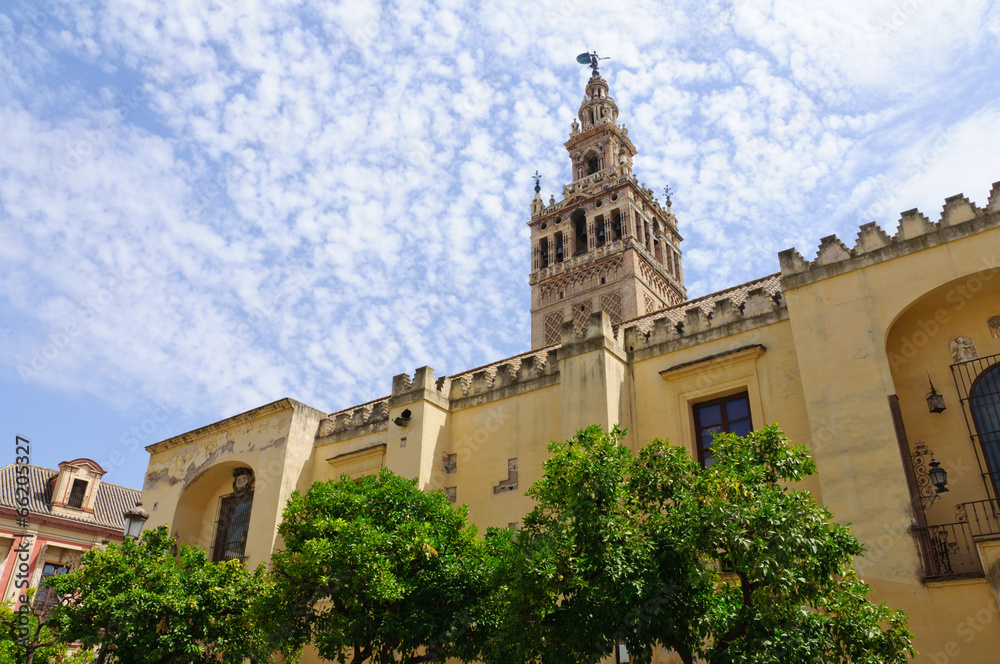 The cathedral in Sevilla, Spain