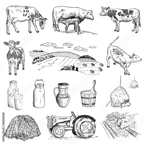 cow and milk
