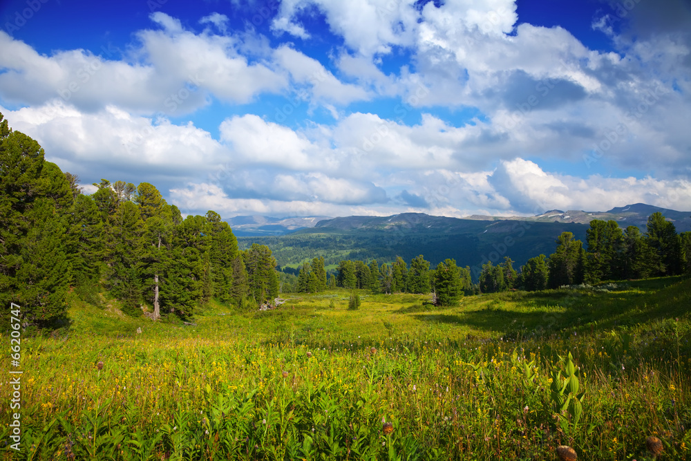 mountains landscape