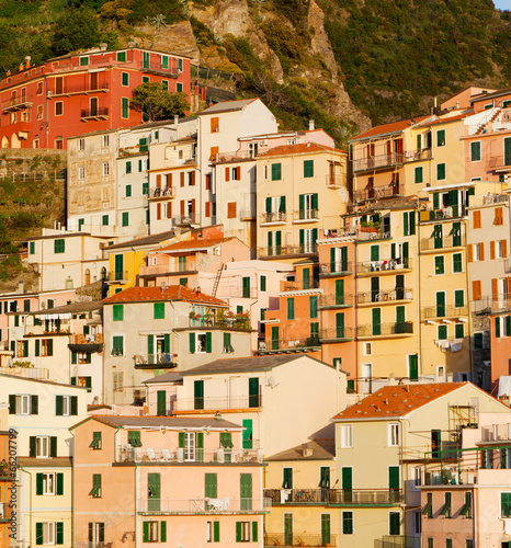 Houses on the rock, Manarola, Italy