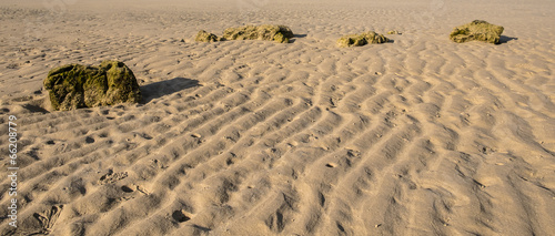 sandy beach when ebb tide photo