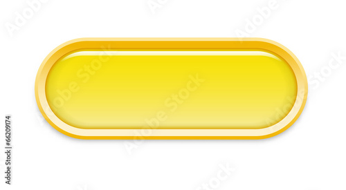 the oval glossy button