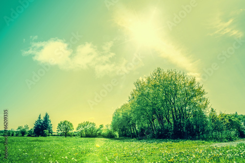 Countryside scenery with green fields and sunshine