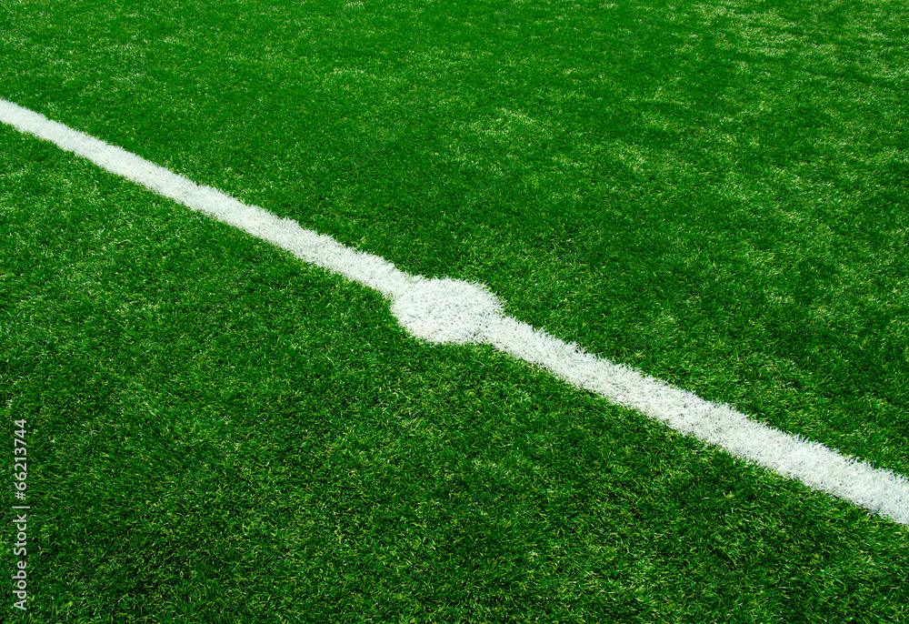 Fototapeta premium stadium