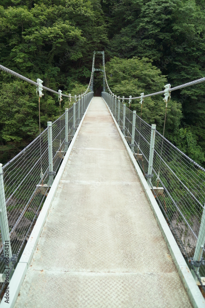 Obraz premium 新緑の天竜峡とつつじ橋