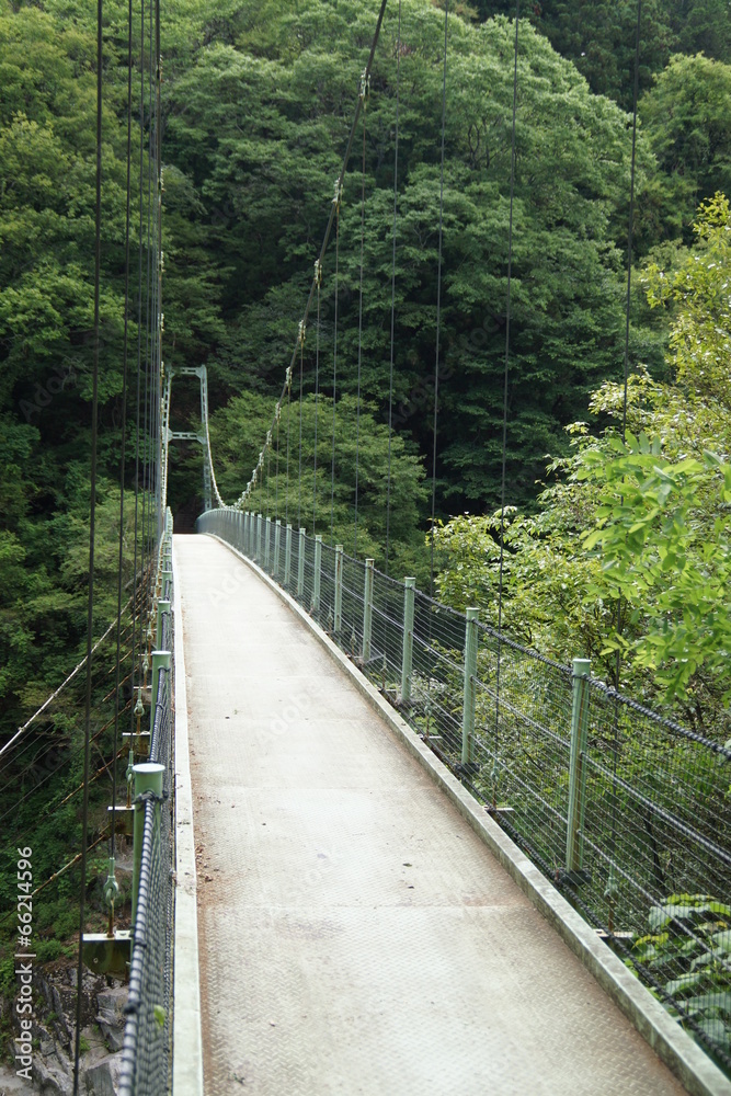 天竜川にかかるつり橋 つつじ橋 天竜川にかかるつり橋 つつじ橋
