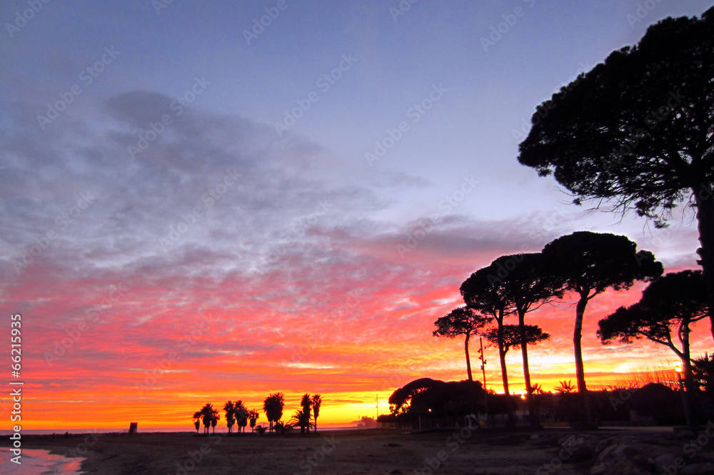 Landscape at sunset