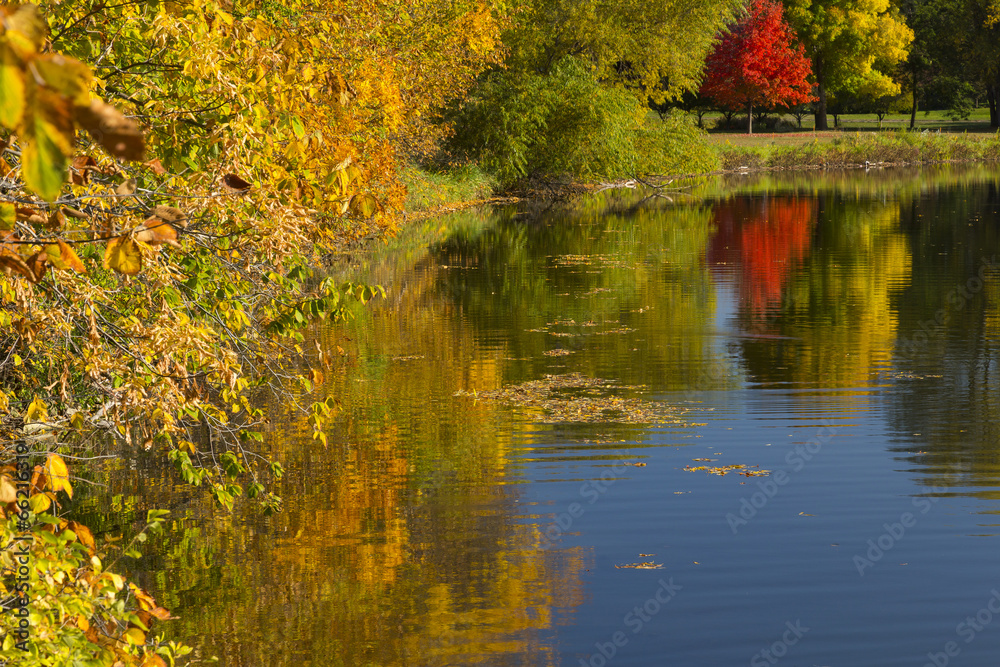 Fototapeta premium Lake Winona Autumn