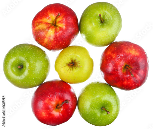 Team of seven ripe apples on white background