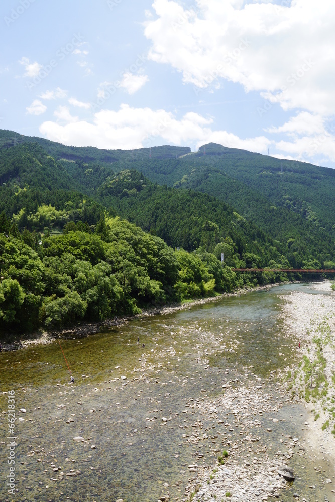 新緑の天竜川